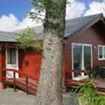 Heron Lodge, Edge Of Mabie Forest Dumfries Zewnętrze zdjęcie